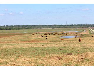 Property photo 27 - LAND AUCTION - 1,371+/- ACRES OFFERED IN 25 TRACTS IN GOLDSBY, OKLAHOMA